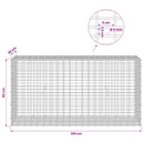 vidaXL Gabion 5 mm Dróttal és 5x2,5 cm Hálóval 100x30x50 cm