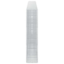 vidaXL Gabion 5 mm Dróttal és 5x2,5 cm Rácsos 500x30x150 cm