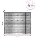 vidaXL Gabion 5 mm Dróttal és 5x10 cm Rácsos 250x10x200 cm