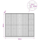vidaXL Gabion 5 mm Dróttal és 5x10 cm Rácsos 250x30x200 cm