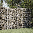 vidaXL Gabion 5 mm-es dróttal és 10x10 cm-es hálóval 100x50x100 cm