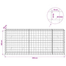 vidaXL Gabion 5 mm-es dróttal és 10x10 cm-es hálóval 250x50x100 cm