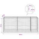 vidaXL Gabion 5 mm-es dróttal és 10x10 cm-es hálóval 250x100x100 cm