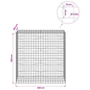 vidaXL Gabion 5 mm Dróttal és 10x10 cm Rácsos 200x100x200 cm