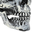 vidaXL Halloween koponya SPOOKA 2 db Fehér 12 x 15 x 17.5 cm Műanyag