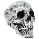 vidaXL Halloween koponya SPOOKA 2 db Fehér 12 x 15 x 17.5 cm Műanyag