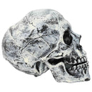 vidaXL Halloween koponya SPOOKA 2 db Fehér 12 x 15 x 17.5 cm Műanyag