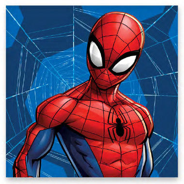 Pókember Web kéztörlő, arctörlő, törölköző 30x30cm, J-BRM016149