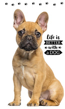 Kutyás Friend kéztörlő arctörlő, törölköző 30x50cm, J-CBX191339TNL