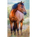 Lovas Brown kéztörlő arctörlő, törölköző 30x50cm, J-CBX204015TNLA