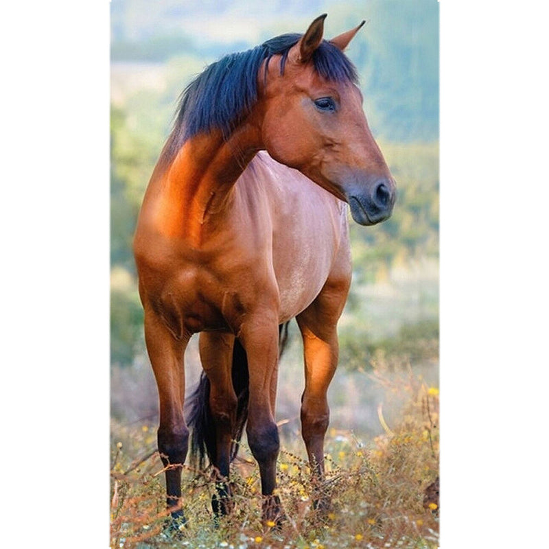 Lovas Brown kéztörlő arctörlő, törölköző 30x50cm, J-CBX204015TNLA