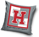 Harvard párnahuzat 40*40 cm, J-CBX214008HD