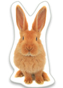 Nyuszis formapárna, díszpárna 22*36 cm, J-CBX536364