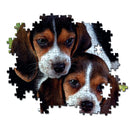 Kutyás Beagles Close Together 500 db-os puzzle Clementoni, J-CMC35536