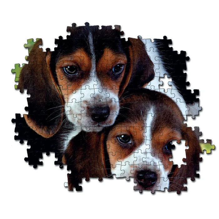 Kutyás Beagles Close Together 500 db-os puzzle Clementoni, J-CMC35536