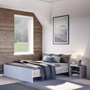 Homelux 2