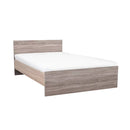 Homelux 1