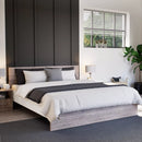 Homelux 2