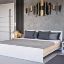 Homelux 2