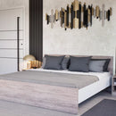 Homelux 2