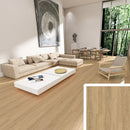 Homelux 8