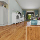 Homelux 8