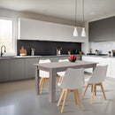 Homelux 2