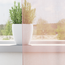 vidaXL 2 db világos rózsaszínű fátyolfüggönyök hurokkal 140x245 cm