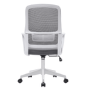 Irodai szék, szürke/fehér, SALOMO TYP 1