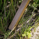 Kempingasztal, barna, ARTUR