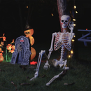 vidaXL Halloween csontváz 2 pcs Fehér 85 cm PVC