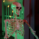 vidaXL Halloween csontváz 2 pcs Fehér 85 cm PVC