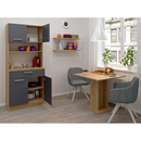 Négyajtós szekrény, artisan tölgy/grafit, DOMIS NEW