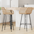 vidaXL Bárszék 2 pcs 55 x 52 x 105 cm Rattan és Vas