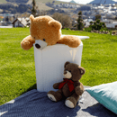 Kerti tároló doboz/kisasztal, fehér, IBLIS