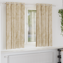 vidaXL Bársonyfüggönyök függönyökkel 2 pcs Krém 175 x 140 cm Bársony