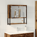 vidaXL Tükörszekrény polcokkal ajtóval Öreg fa 60 x 16 x 60 cm Faanyag