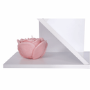 Könyvespolc, fehér, BAKI NEW TYP 2