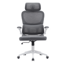 Irodai szék, sötétszürke/fehér, RENARD