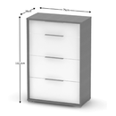Komód fiókokkal, grafit/fehér, RIOMA NEW TYP 22