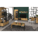 Dohányzóasztal 120, dub craf arany/antracit, SANTANA