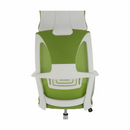 Irodai szék, zöld/fehér, TAXIS