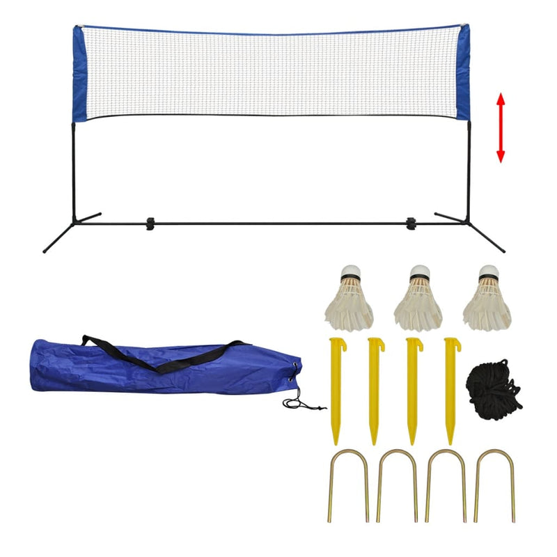 vidaXL 300 x 155 cm tollaslabda szett és háló