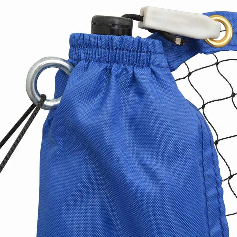 vidaXL 300 x 155 cm tollaslabda szett és háló