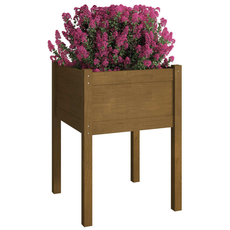 vidaXL 2 db mézbarna tömör fenyőfa kerti virágtartó 50 x 50 x 70 cm