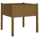 vidaXL mézbarna tömör fenyőfa kerti virágtartó 70 x 70 x 70 cm