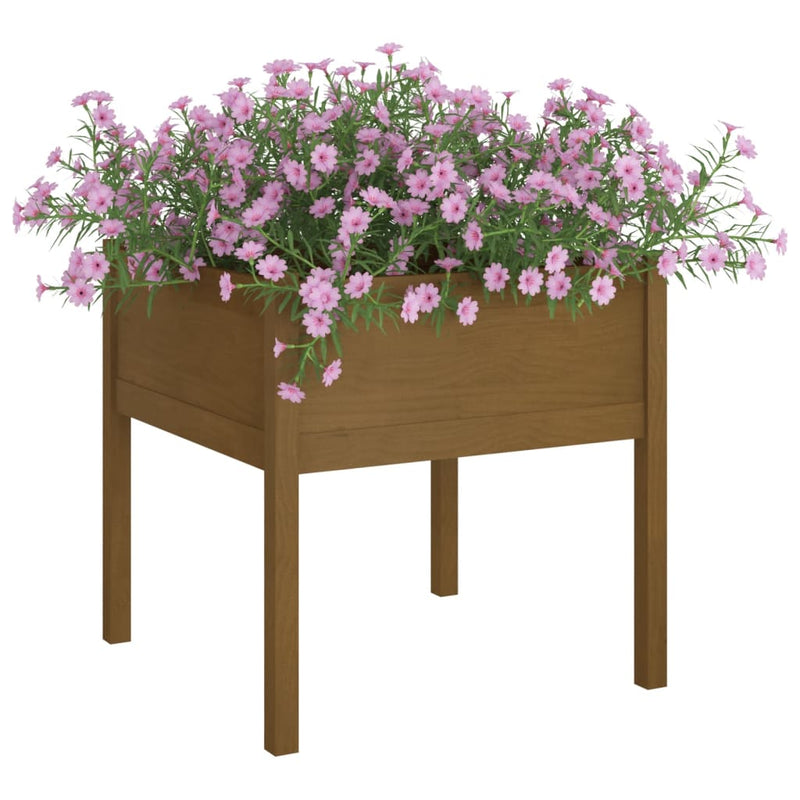 vidaXL 2 db mézbarna tömör fenyőfa kerti virágtartó 70 x 70 x 70 cm