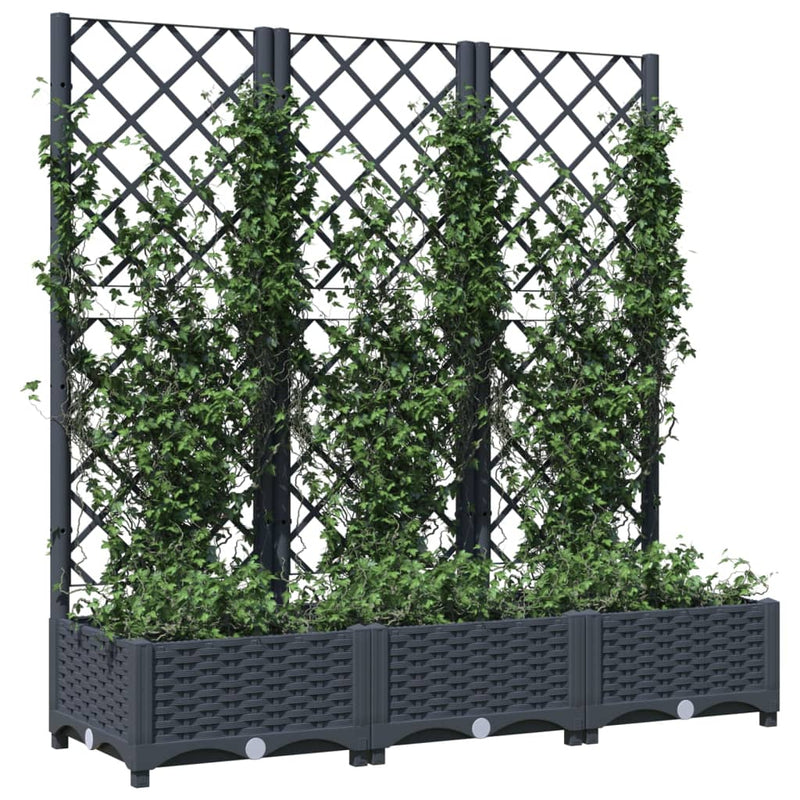 vidaXL sötétszürke PP rácsos kerti ültetőláda 120 x 40 x 121,5 cm