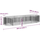 vidaXL horganyzott vas gabion magaságyás 300x100x50 cm