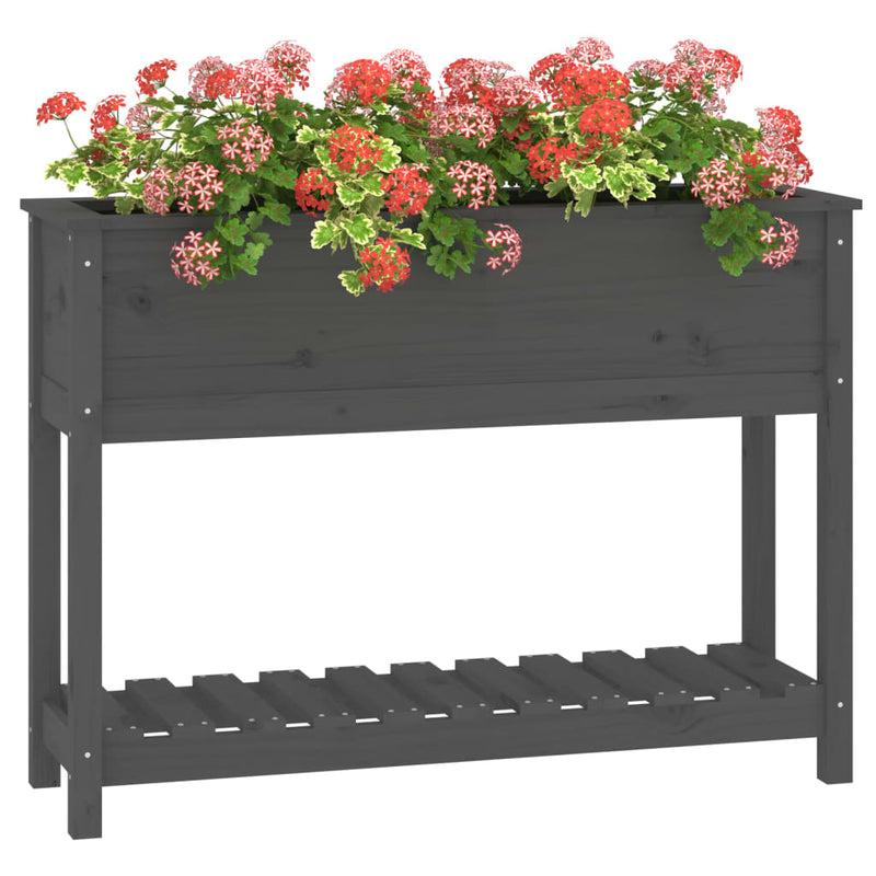 vidaXL szürke tömör fenyőfa növénytartó polccal 111,5x34,5x81 cm